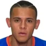 H. Castillo