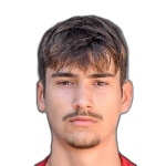 N. Tomašević