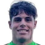 V. Sarno