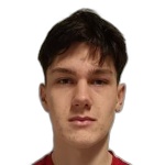 N. Gomerčić