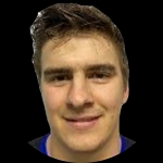 N. Horvat