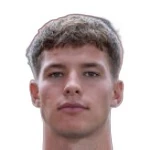 D. Klein