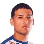 L. Villarreal