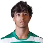 T. Mendes