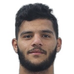 A. A. Ajyan