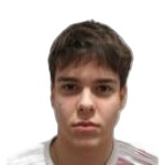 M. Novak