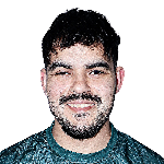 P. N. Silva