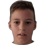 V. Jarni