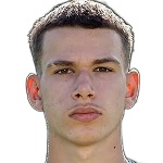 N. Zezelj
