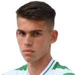 N. P. Kostadinov