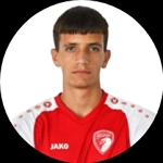 N. Lukic