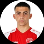 L. Slavkovic