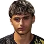 A. Najdi