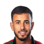 Y. Saafi