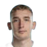 19 - D. Hrachykha