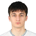 M. Dzestelov
