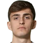 R. Amirkhanyan