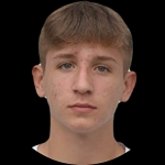 M. Novak