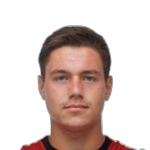 V. Mulyk