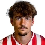 K. Hofmann