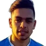 M. A. Gribaudo