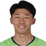 K. Hoshi