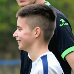 A. Mitrović