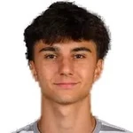 D. Dokov