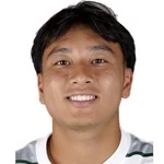 H. Yang
