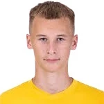 M. Vaclavek