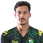R. Rodrigues