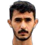 N. F. Lafi