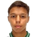 M. Silva