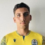 P. L. V. Santos