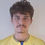 R. J. C. Viana