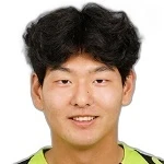 J. Han