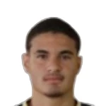 R. Vieira