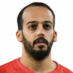 N. A. Shaibani