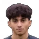 N. M. Al-Mabhouh
