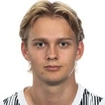 J. H. Pettersen