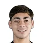 V. J. Montenegro