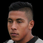 L. N. C. Pereyra