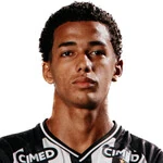 L. M. A. d. Silva