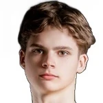 H. Viļķins
