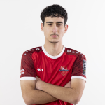 N. Feikrishvili
