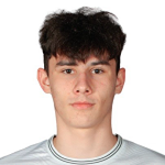 A. Yarovoy