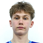 G. Parmukhin