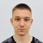 V. Sarychev