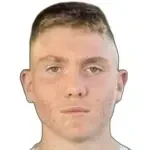 N. Rajic
