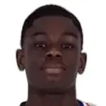M. Otobo